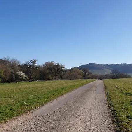 Zimmers Tälchenhof Apartment Oberemmel