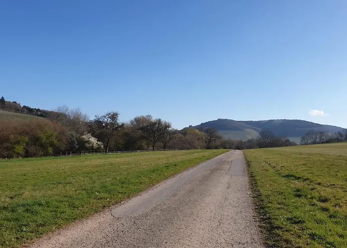 Zimmers Taelchenhof Apartamento Oberemmel